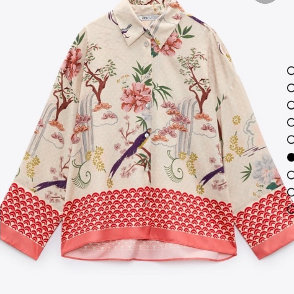 Zara Print Shirt